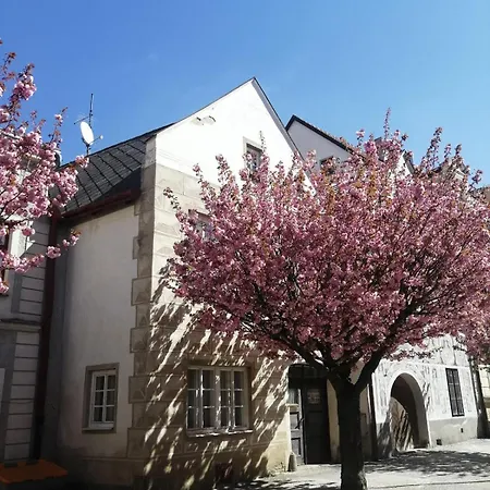 - Capi Dum Slavonice